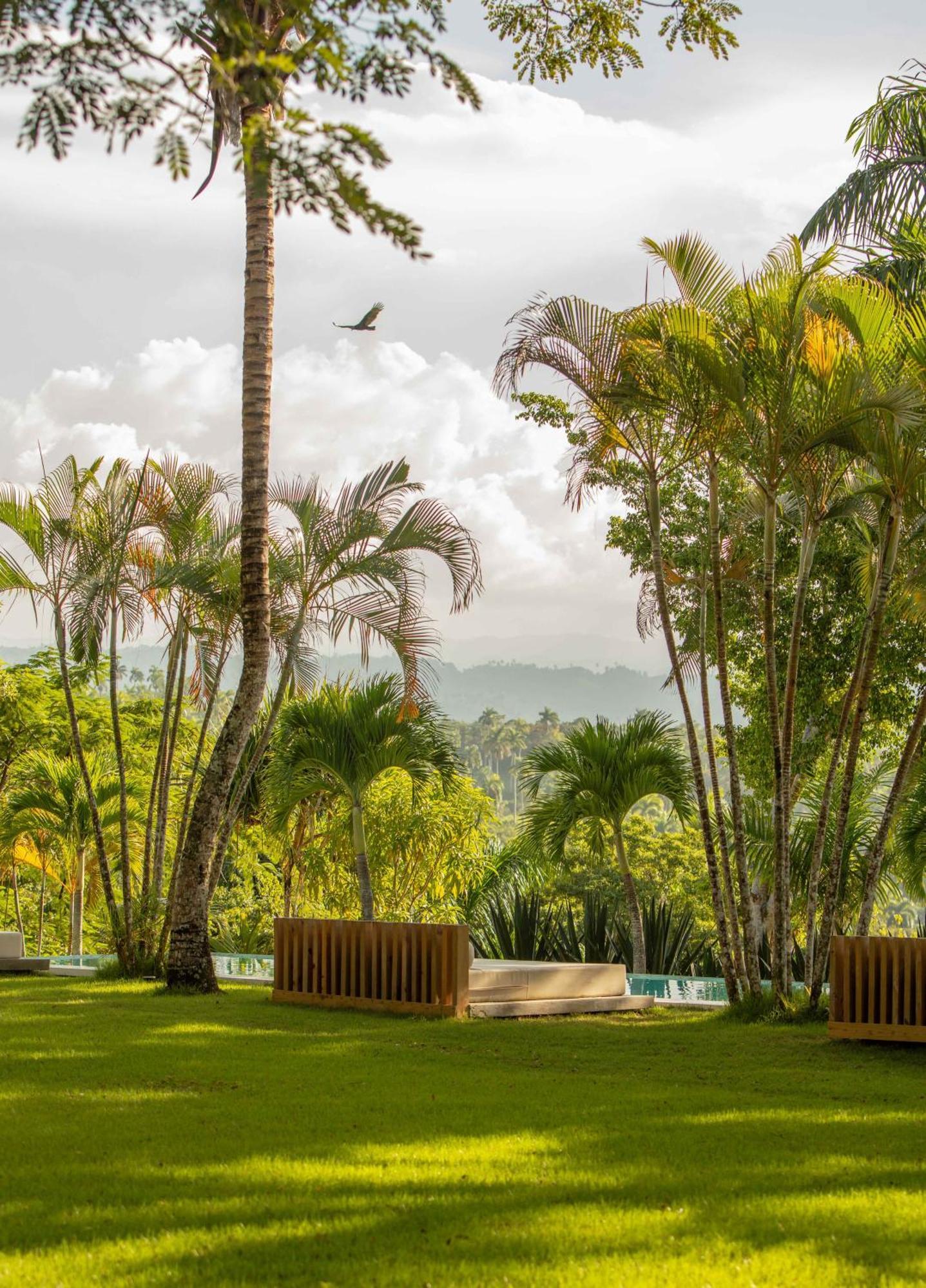 Oya - Wellness Eco Resort & Retreat Jamao al Norte Bagian luar foto