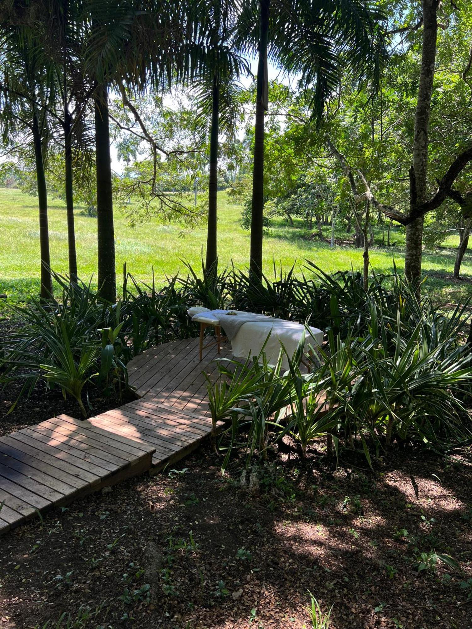Oya - Wellness Eco Resort & Retreat Jamao al Norte Bagian luar foto